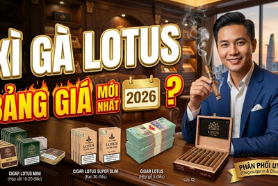 Giá Xì Gà Lotus Chính Hãng Vinataba | Tổng Kho Uy Tín Nhất